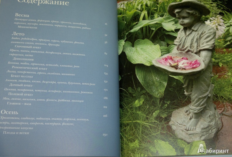 Иллюстрация 7 из 24 для Мои прекрасные цветы - Шахова, Земская | Лабиринт - книги. Источник: Леонид Сергеев