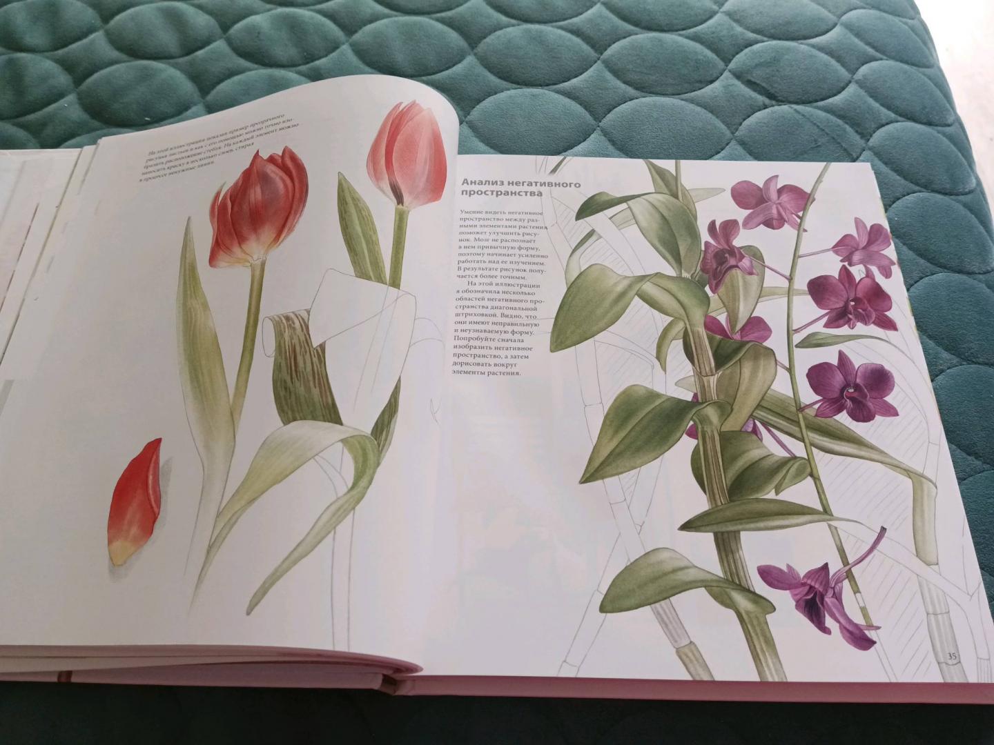 Иллюстрация 80 из 80 для Ботанические портреты. Практическое руководство по рисованию акварелью - Билли Шоуэлл | Лабиринт - книги. Источник: Лабиринт