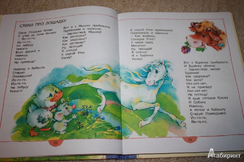 Иллюстрация 37 из 42 для Жили-были пони. Стихи - Ирина Пивоварова | Лабиринт - книги. Источник: Melonie
