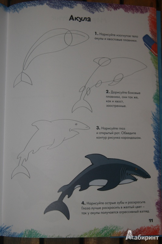 Иллюстрация 4 из 36 для Рисуем морских животных, рыб и птиц | Лабиринт - книги. Источник: Кабанова  Ксения Викторовна