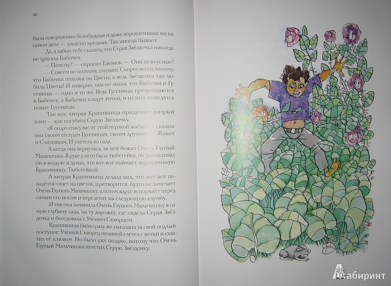Иллюстрация 31 из 67 для Отшельник и Роза - Борис Заходер | Лабиринт - книги. Источник: Трухина Ирина