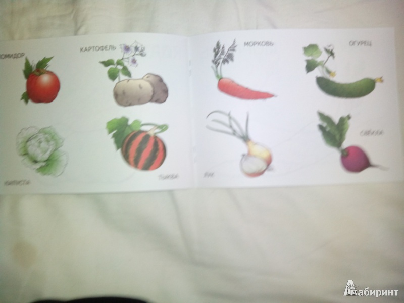 Иллюстрация 3 из 10 для Овощи | Лабиринт - книги. Источник: Харченко  Ольга