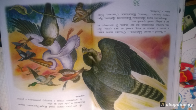 Иллюстрация 4 из 36 для Сказки для детей - Виталий Бианки | Лабиринт - книги. Источник: Федченко  Юлия Викторовна