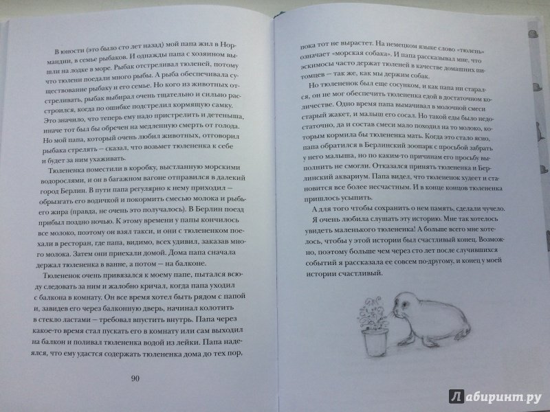 Иллюстрация 16 из 35 для Мистер Клегхорн и его тюлененок - Джудит Керр | Лабиринт - книги. Источник: ИрМур