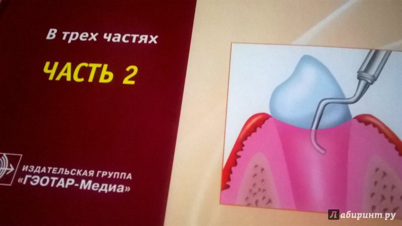 Иллюстрация 8 из 30 для Терапевтическая стоматология. Учебник в 3-х частях. Часть 2. Болезни пародонта - Барер, Лемецкая, Суражев | Лабиринт - книги. Источник: Natalya4099
