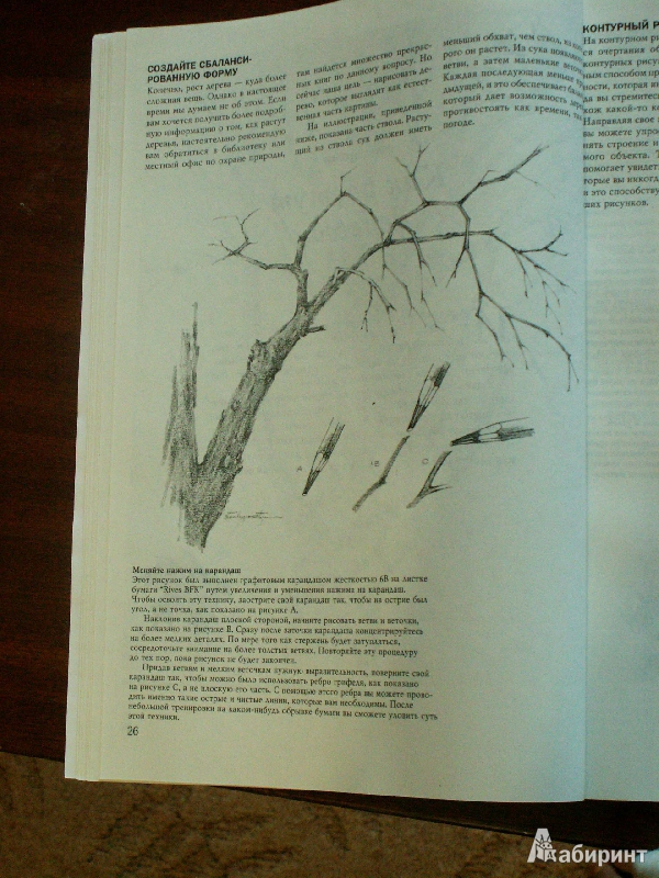 Иллюстрация 55 из 61 для Деревья - Стенли Молцмен | Лабиринт - книги. Источник: Воронина  Екатерина Фёдоровна