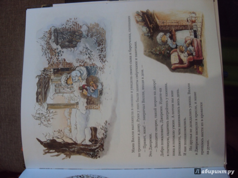 Иллюстрация 27 из 28 для Приключение в Лисьем Лесу - Патерсон, Патерсон | Лабиринт - книги. Источник: master-charm