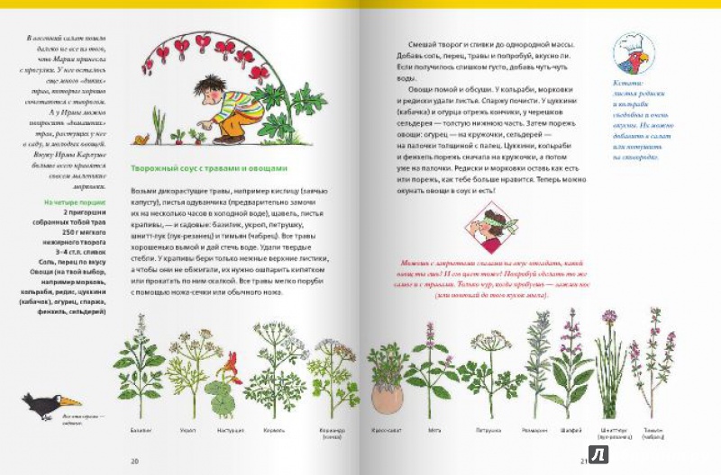 Иллюстрация 18 из 44 для Большая кулинарная книга Городка. Рецепты на каждое время года - Бернер, фон | Лабиринт - книги. Источник: angela_kvitka