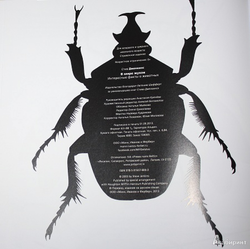 Иллюстрация 32 из 43 для В мире жуков. Интересные факты о животных - Стив Дженкинс | Лабиринт - книги. Источник: КНИЖНОЕ ДЕТСТВО