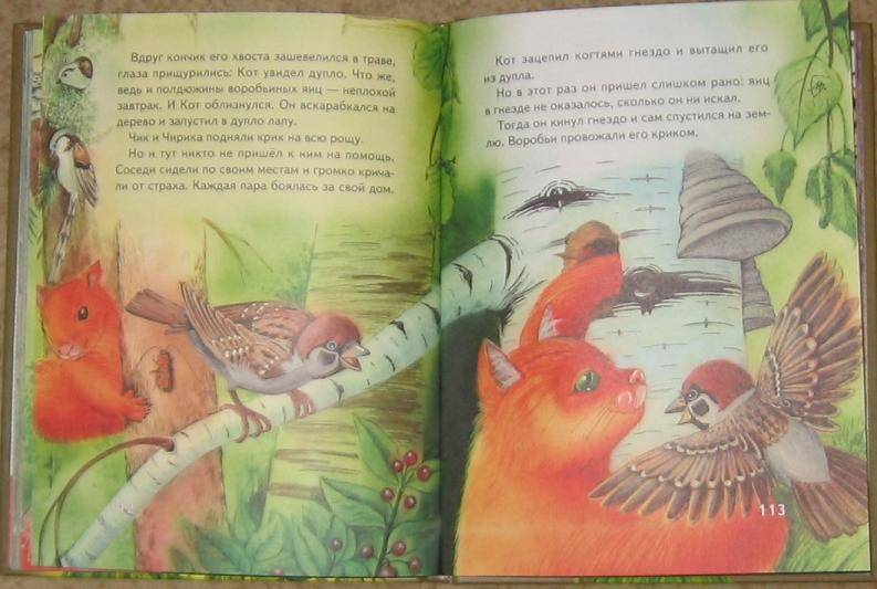 Иллюстрация 19 из 27 для Сказки о животных - Виталий Бианки | Лабиринт - книги. Источник: акка