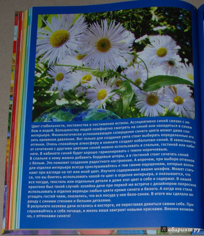 Иллюстрация 27 из 30 для Фазенда 3. Фазенда в цвете - Шахова, Даркова | Лабиринт - книги. Источник: Книжный кот