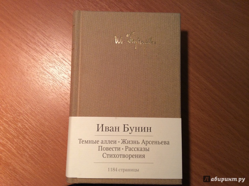 Жизнь бунина читать. «Жизнь Арсеньева» Бунина (1930).