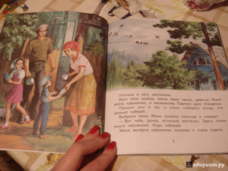 Иллюстрация 15 из 27 для Цветик-семицветик - Валентин Катаев | Лабиринт - книги. Источник: Волкова  Алена