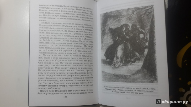 Иллюстрация 30 из 33 для Повести Белкина. Пиковая дама - Александр Пушкин | Лабиринт - книги. Источник: Пивоваров  Илья