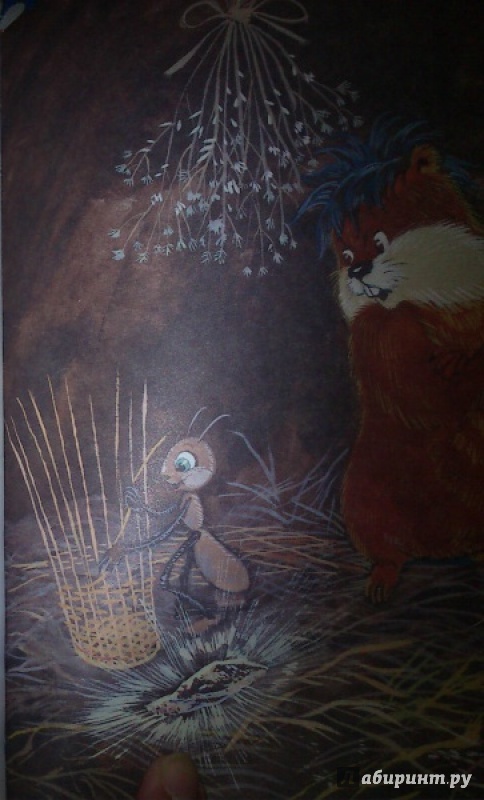 Иллюстрация 11 из 51 для Приключения Хомы - Альберт Иванов | Лабиринт - книги. Источник: polaris