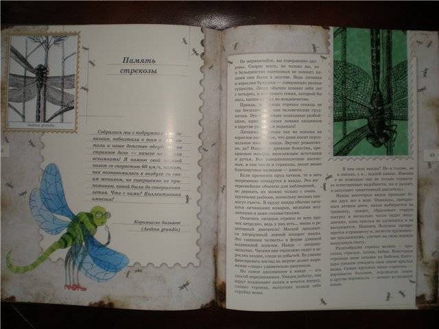 Иллюстрация 45 из 103 для Письма насекомых - Ольга Кувыкина | Лабиринт - книги. Источник: Гостья