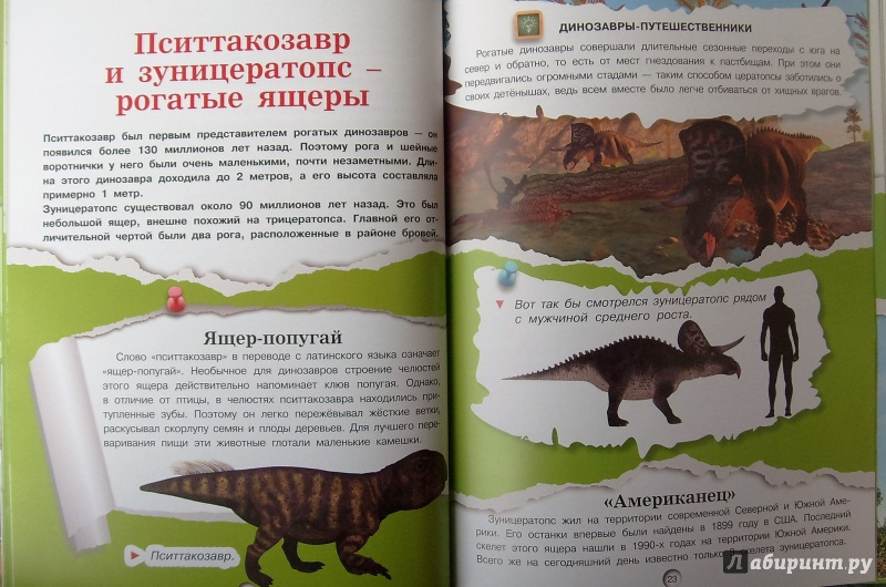 Иллюстрация 12 из 24 для Динозавры - Дмитрий Кошевар | Лабиринт - книги. Источник: Соловьев  Владимир