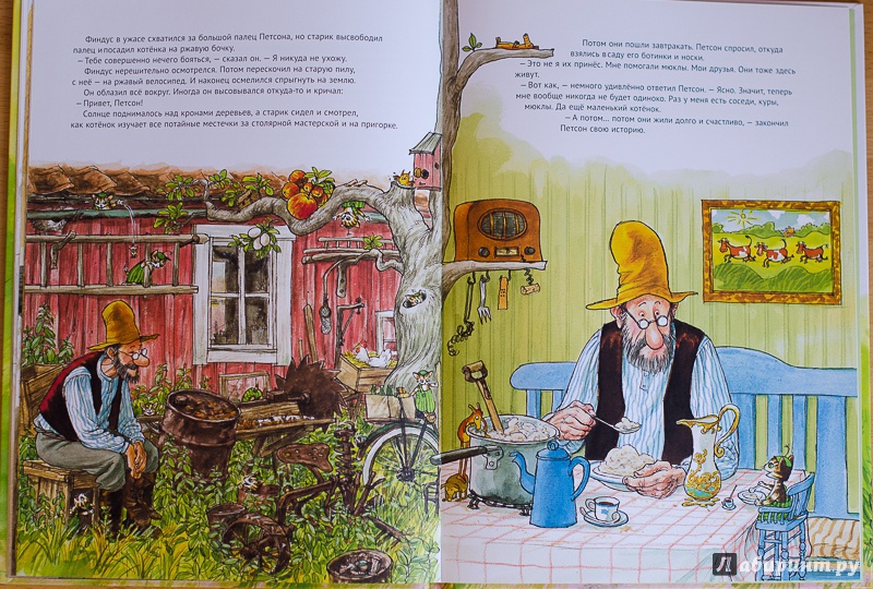 Иллюстрация 34 из 102 для История о том как Финдус потерялся, когда был маленьким - Свен Нурдквист | Лабиринт - книги. Источник: Tatianka_G