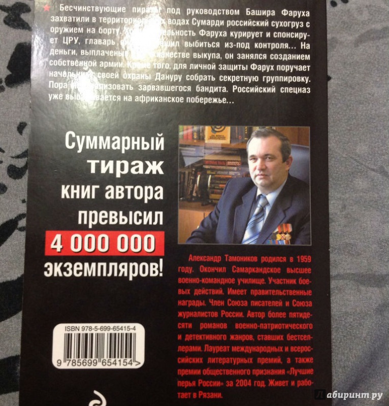 Иллюстрация 10 из 11 для Истребители пиратов - Александр Тамоников | Лабиринт - книги. Источник: Шлепанова Татьяна