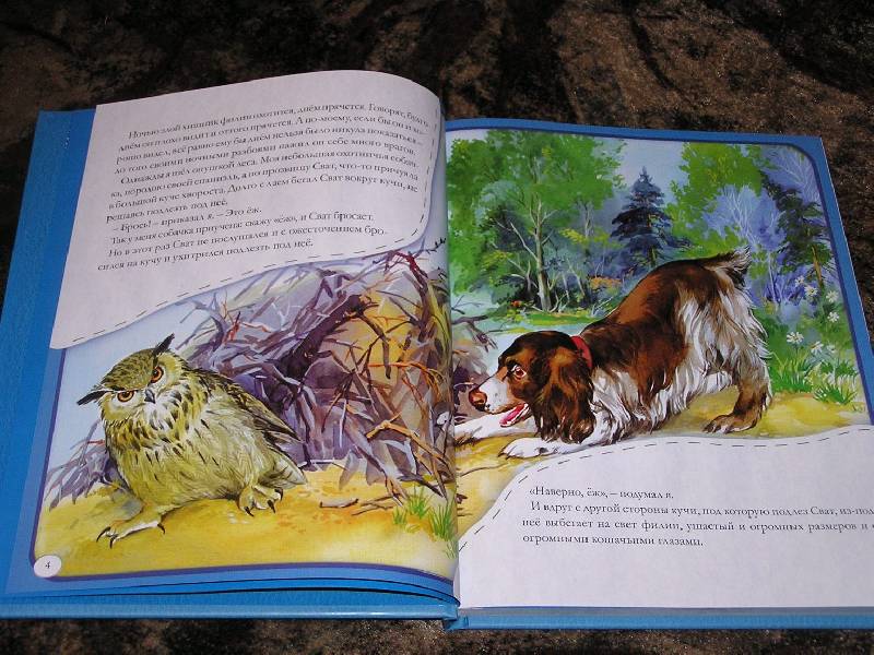 Иллюстрация 12 из 44 для Рассказы о животных для маленьких - Михаил Пришвин | Лабиринт - книги. Источник: Ромина мама