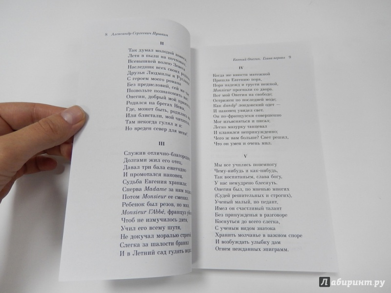 Иллюстрация 5 из 15 для Евгений Онегин - Александр Пушкин | Лабиринт - книги. Источник: dbyyb