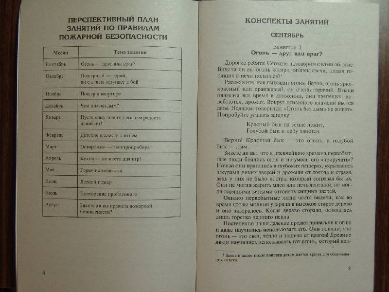 Иллюстрация 20 из 37 для Беседы о правилах пожарной безопасности - Татьяна Шорыгина | Лабиринт - книги. Источник: Лаванда