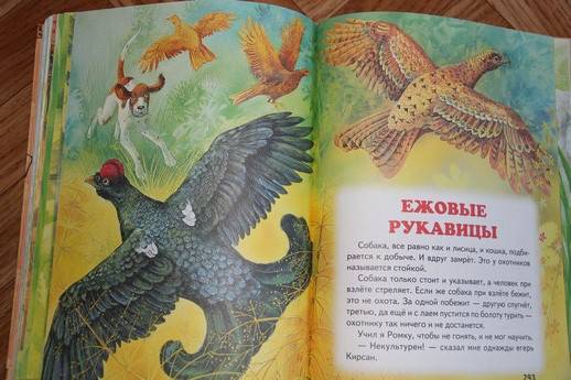 Иллюстрация 27 из 30 для Рассказы русских писателей о животных | Лабиринт - книги. Источник: Vilvarin  Laurea