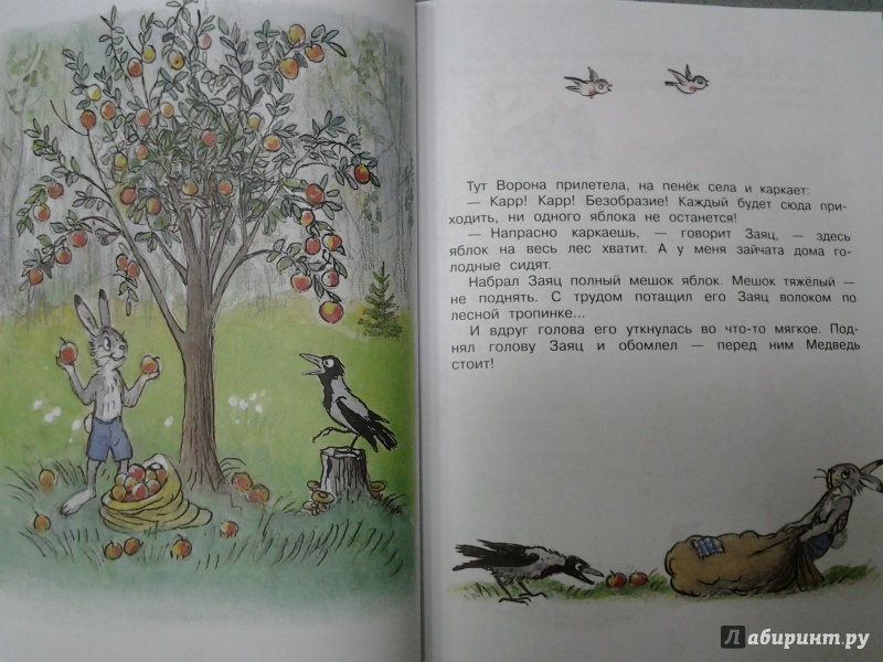 Иллюстрация 28 из 35 для Любимые сказки - Владимир Сутеев | Лабиринт - книги. Источник: Olga