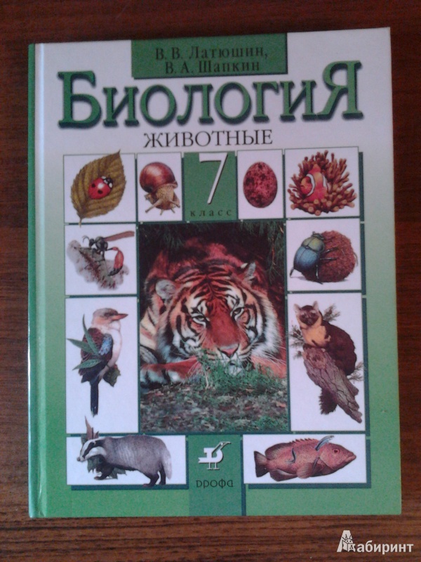 Проект биология 7 класс домашние животные