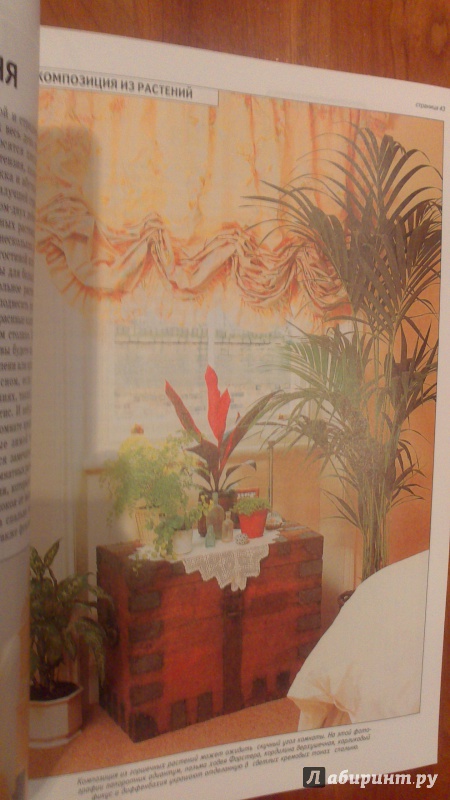 Иллюстрация 30 из 38 для Все о комнатных растениях - Дэвид Хессайон | Лабиринт - книги. Источник: bamboo