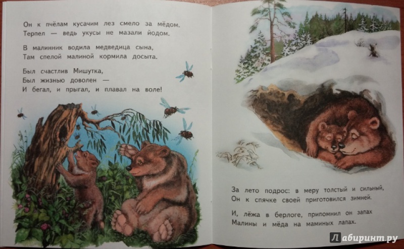 Иллюстрация 9 из 32 для Слонёнок Санни - Владимир Борисов | Лабиринт - книги. Источник: Мама Анюты