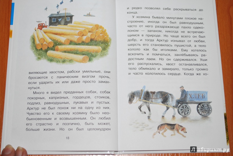 Иллюстрация 13 из 32 для Арктур - гончий пёс - Юрий Казаков | Лабиринт - книги. Источник: Нади