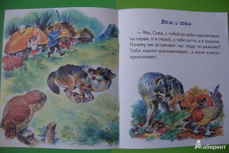 Иллюстрация 4 из 7 для Лесные сказки - Николай Сладков | Лабиринт - книги. Источник: Еремеева  Ольга