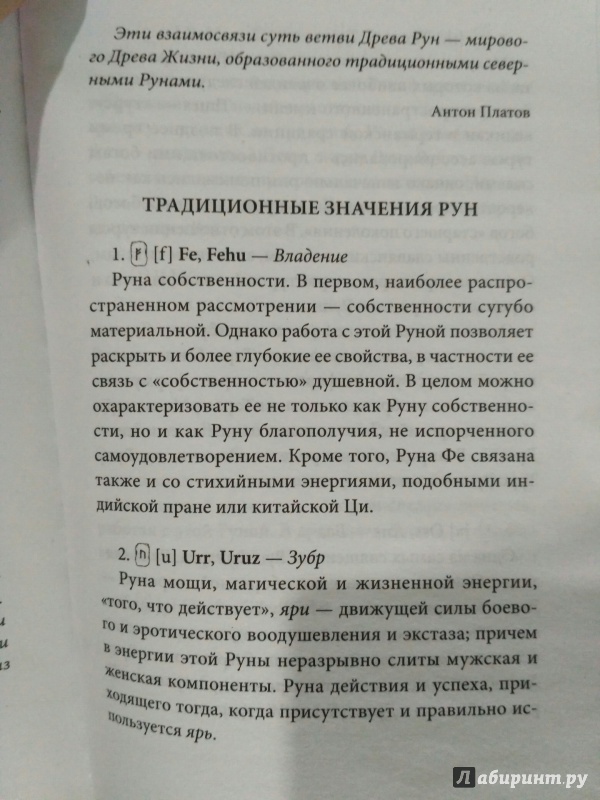 Иллюстрация 13 из 15 для Книга Рун. Руководство пользования древним Оракулом. Руны викингов - Ральф Блюм | Лабиринт - книги. Источник: Черемных  Ксения