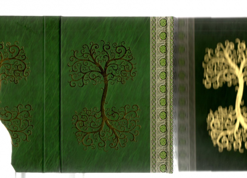 Иллюстрация 8 из 11 для Дневник "Кельтское дерево" (100 листов, А5-, нелинованный) (JOU12) | Лабиринт - канцтовы. Источник: Lustralis