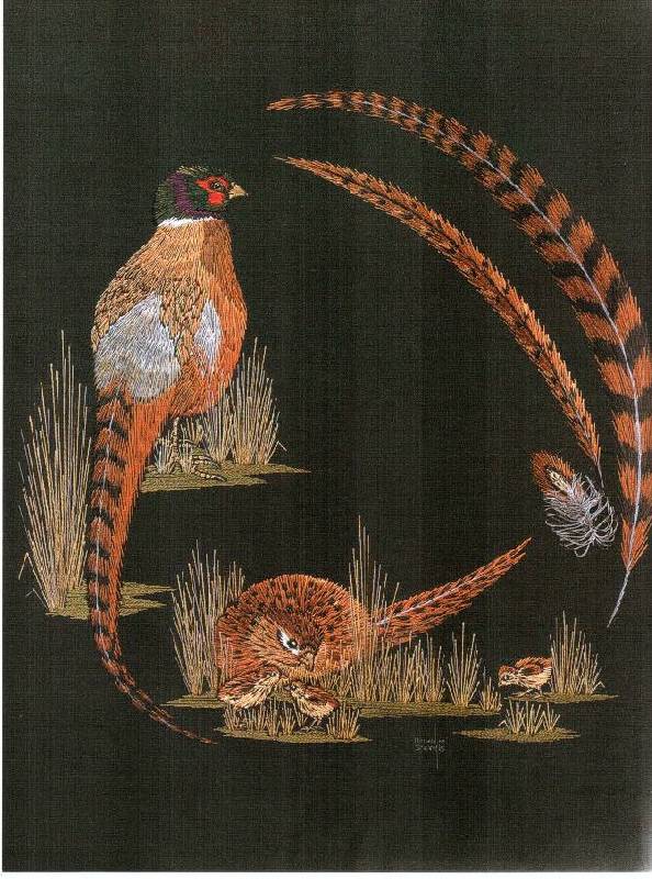 Иллюстрация 24 из 33 для Птицы. Практическое руководство - Хелен Стивенс | Лабиринт - книги. Источник: Юта