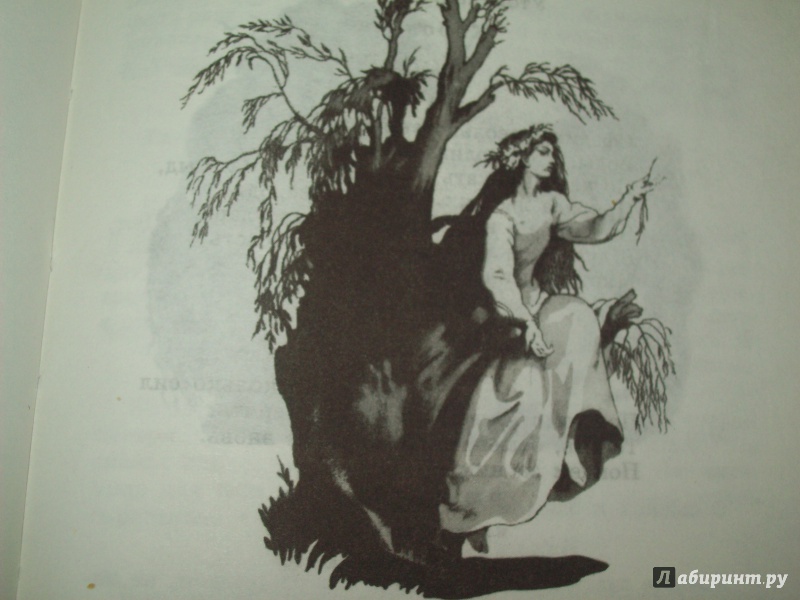 Иллюстрация 16 из 16 для Гамлет, принц Датский - Уильям Шекспир | Лабиринт - книги. Источник: КошкаПолосатая
