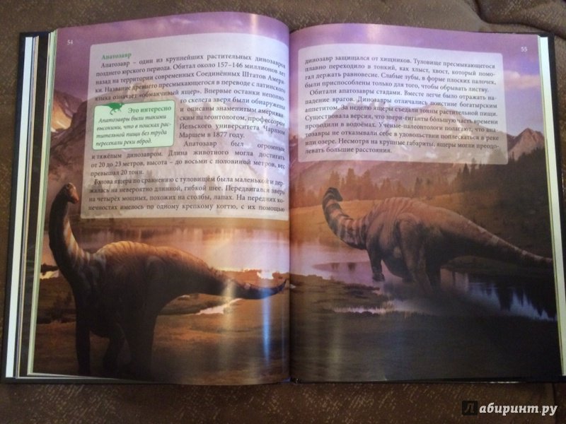 Иллюстрация 29 из 36 для Динозавры - Ирина Астапенко | Лабиринт - книги. Источник: Лабиринт