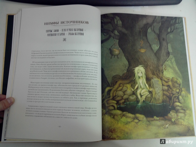 Иллюстрация 9 из 36 для Энциклопедия волшебных существ - Юхан Эгеркранс | Лабиринт - книги. Источник: dbyyb