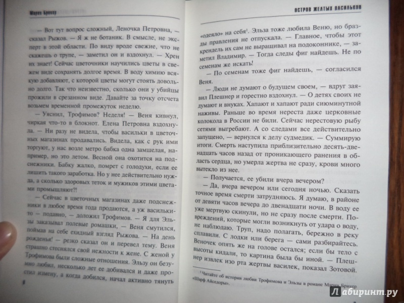 Иллюстрация 3 из 5 для Остров желтых васильков - Мария Брикер | Лабиринт - книги. Источник: Kirill  Badulin