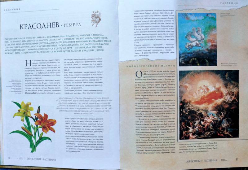 Иллюстрация 16 из 18 для Животные, растения. Мифы и легенды - Бабенко, Алексеев, Белова | Лабиринт - книги. Источник: Ассоль