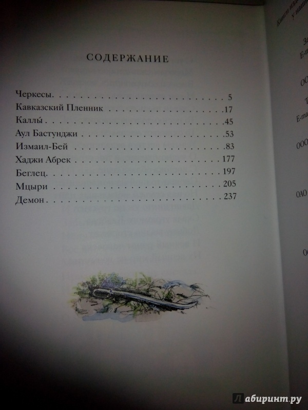 Иллюстрация 32 из 32 для Кавказские поэмы - Михаил Лермонтов | Лабиринт - книги. Источник: Нефедов Виталий Иванович