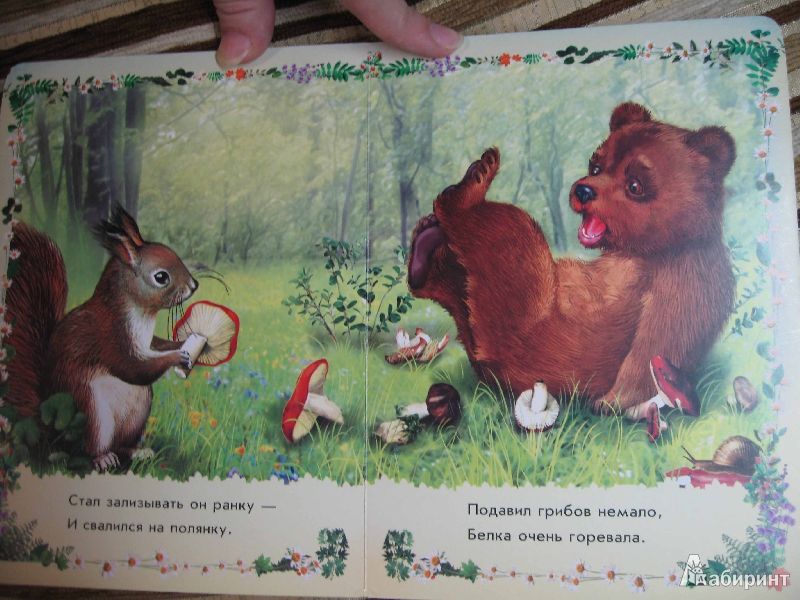 Иллюстрация 5 из 16 для Медвежонок и его друзья - Светлана Зайцева | Лабиринт - книги. Источник: Белкина  Виктория
