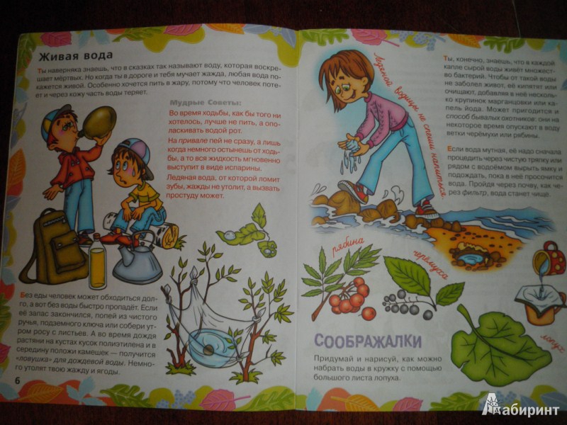 Иллюстрация 5 из 13 для Ты и лес - Людмила Радзиевская | Лабиринт - книги. Источник: Ека74