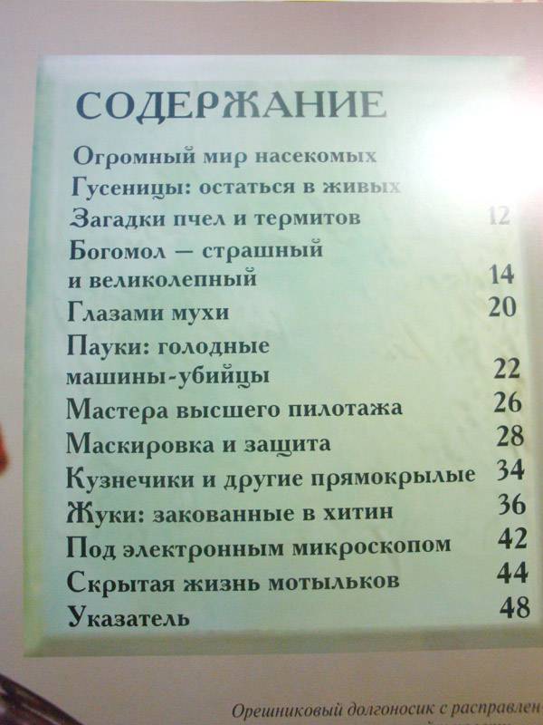 Иллюстрация 36 из 44 для Насекомые: жуки, пауки, бабочки и другие - Эндрю Дэвис | Лабиринт - книги. Источник: Прохорова  Татьяна Борисовна