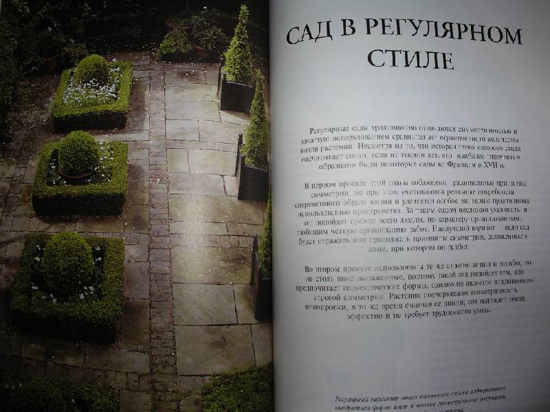 Иллюстрация 45 из 50 для Все о планировке сада - Тим Ньюбери | Лабиринт - книги. Источник: Tiger.