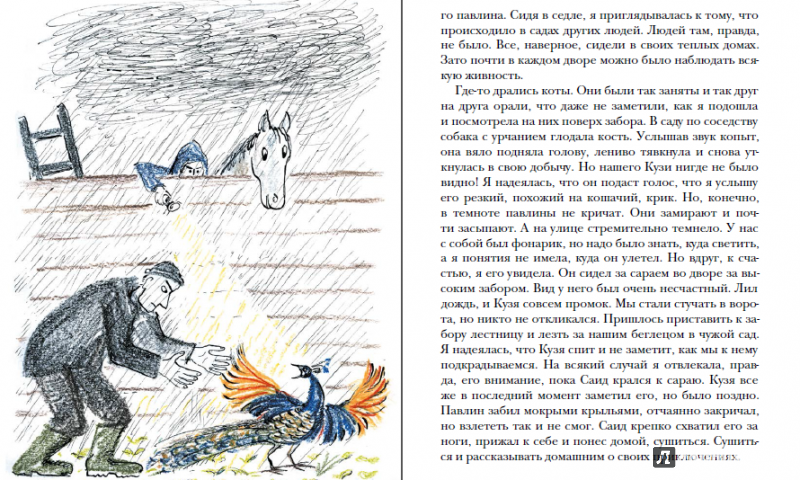 Иллюстрация 5 из 21 для Письма с моей фермы (+ CD) - Маша Слоним | Лабиринт - книги. Источник: Данченко  Аксинья