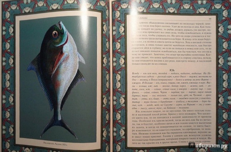 Иллюстрация 6 из 9 для Русская рыбалка (шелк) | Лабиринт - книги. Источник: Елизовета Савинова
