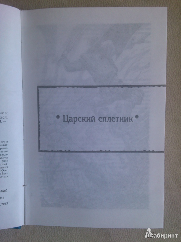 Иллюстрация 23 из 32 для Царский сплетник (трилогия) - Шелонин, Баженов | Лабиринт - книги. Источник: MiCCim