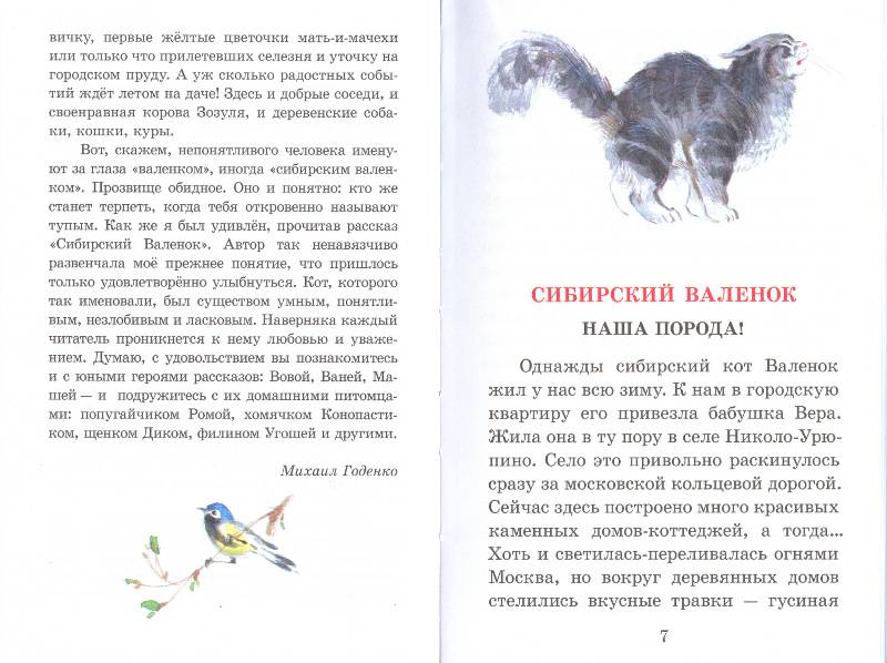 Иллюстрация 10 из 15 для Сибирский валенок - Светлана Вьюгина | Лабиринт - книги. Источник: Филиппова Ольга